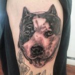 Portrait Tattoo, Dog tattoo, memorial tattoos at art club tattoo and piercing